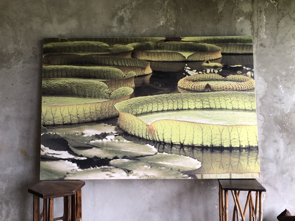 Photograph by Benny Momor