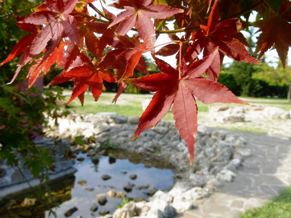 Photograph by Елена Коробкина