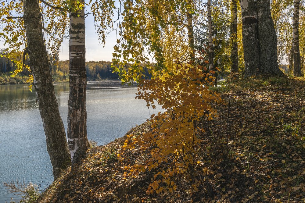 Фотография автора Галина Луценко
