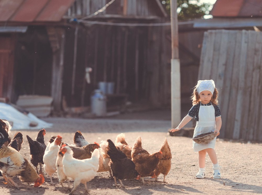 Photograph by Ирина Белоусова (Рябых)