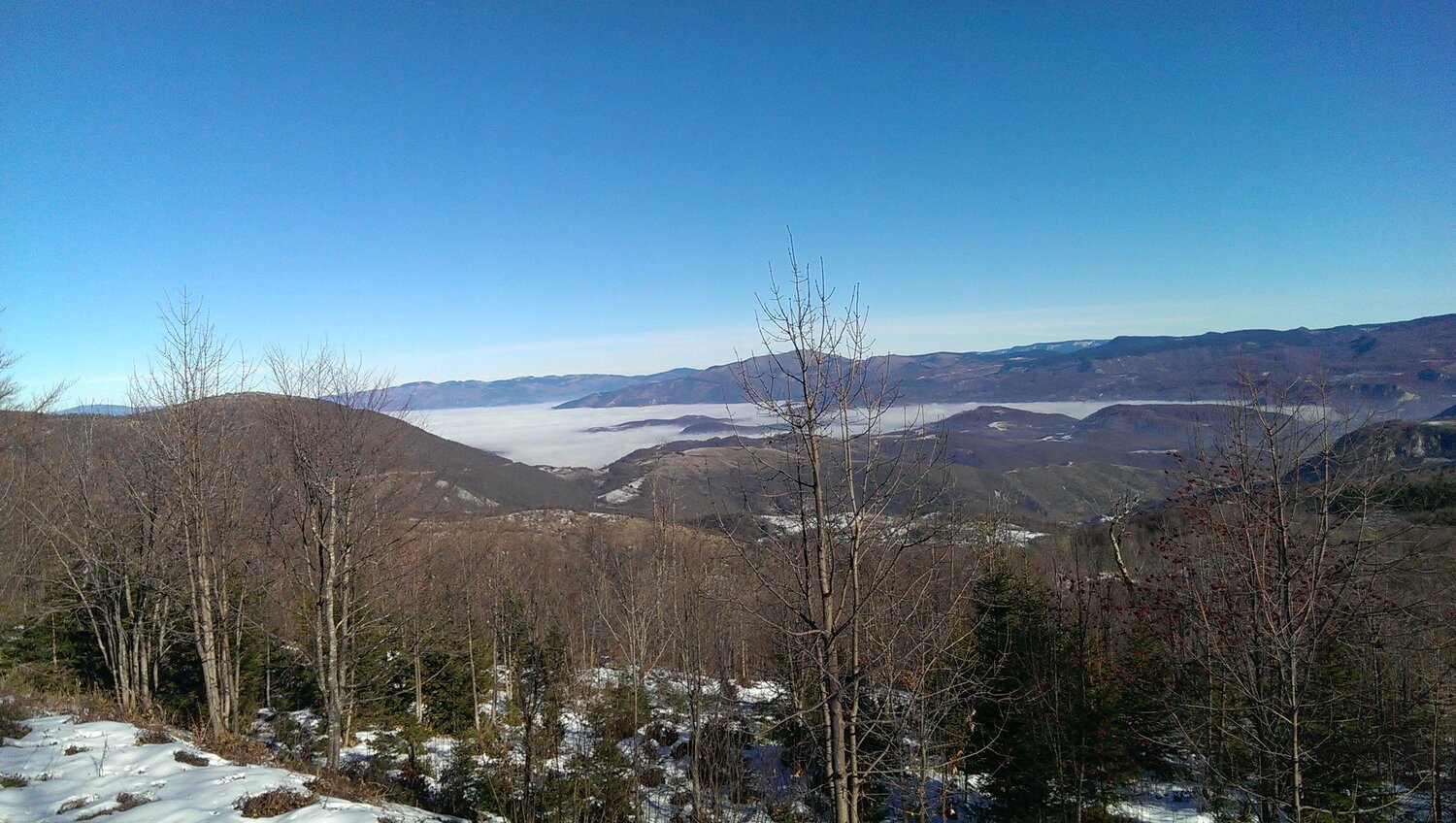 Photo #5065218