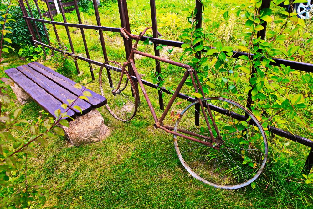 Photograph by петр чиков