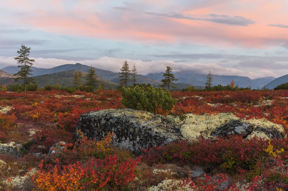 Photograph by Марина Маликова