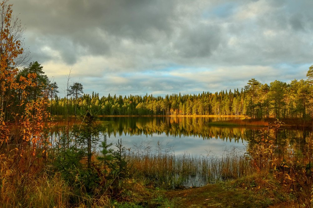 Photograph by Александр Трифанов