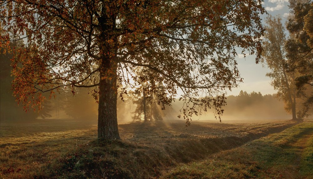 Sunrises of October...