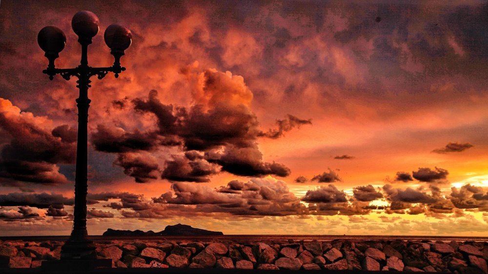 Photograph by Sax Palumbo