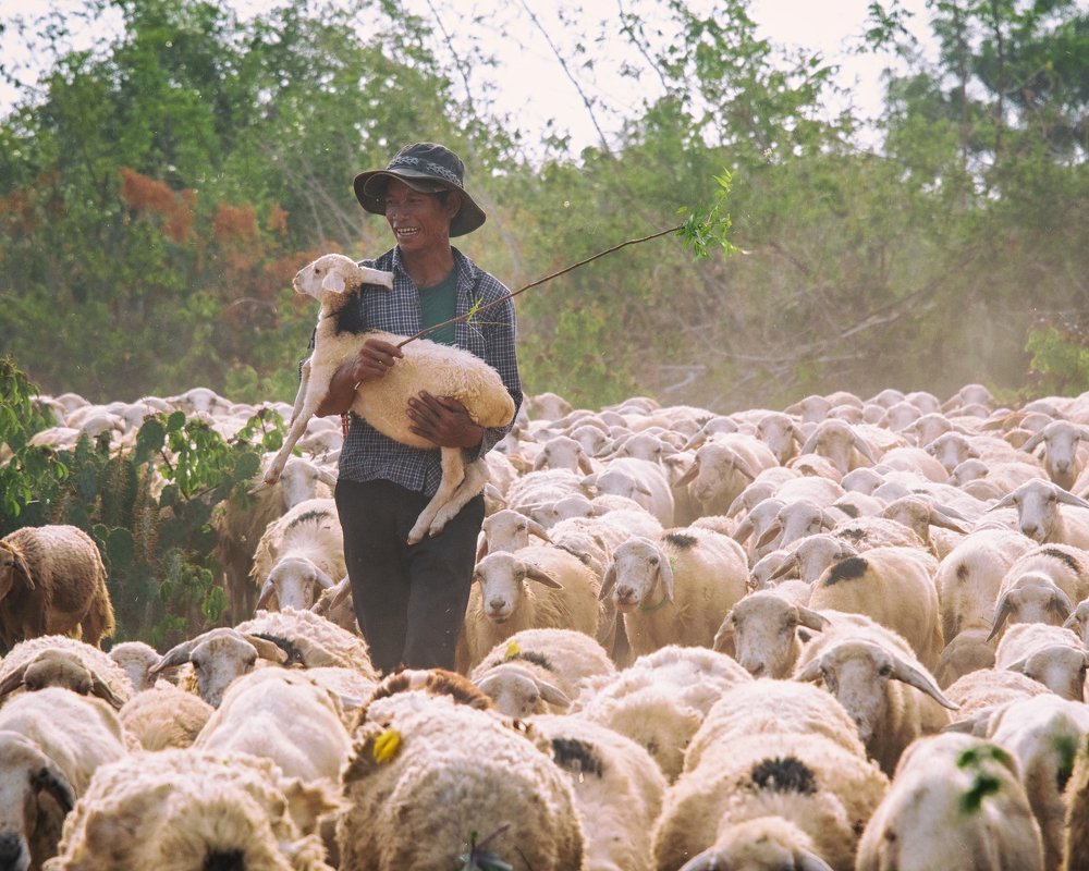 Фотография автора Susanty Tan