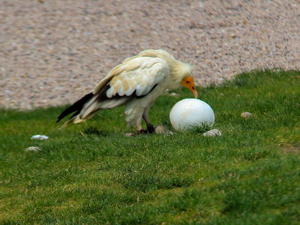 Photograph by Татьяна Шелудяк