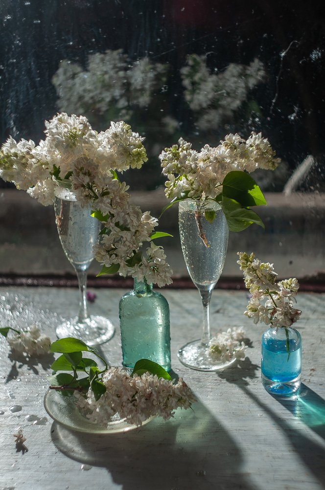 Photograph by Инна Романюк