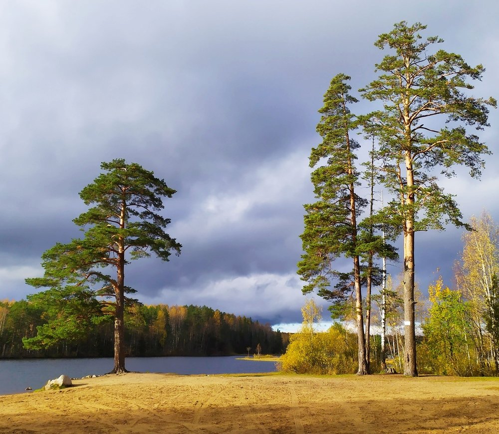 Photograph by Елена Павлова