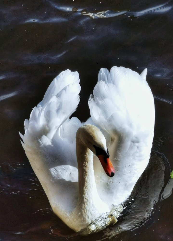 Photograph by Андрей Тур