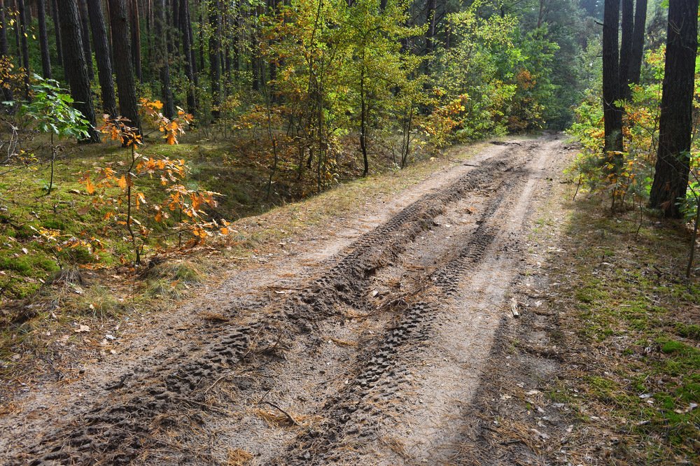 Осенняя дорога