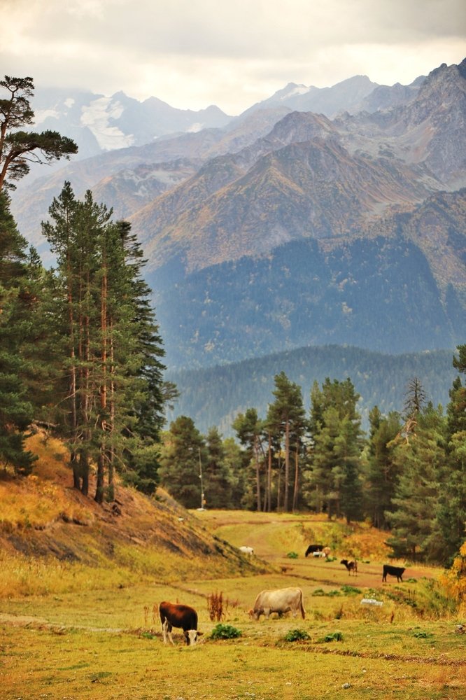 Photograph by Алексей Поляков