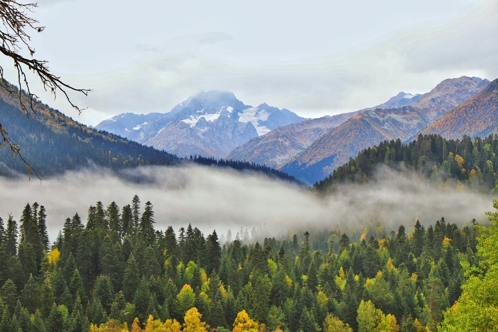 Photograph by Алексей Поляков