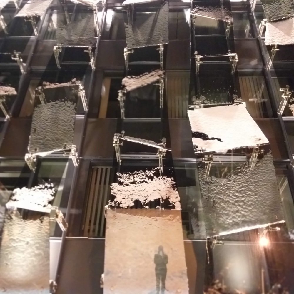 Кривые зеркала