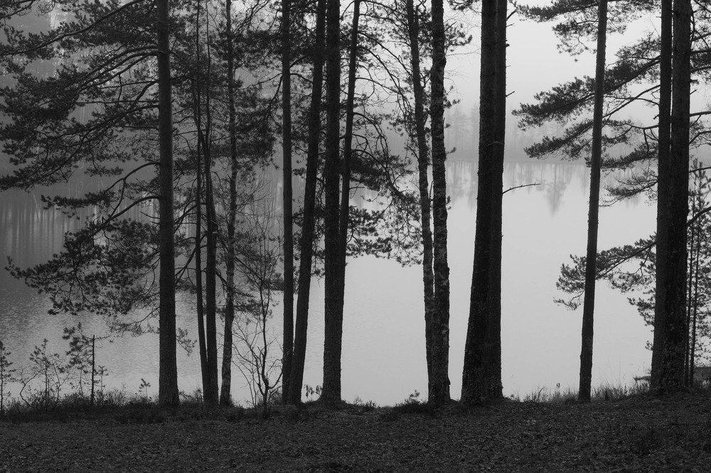 Photograph by Вадим Кондрат