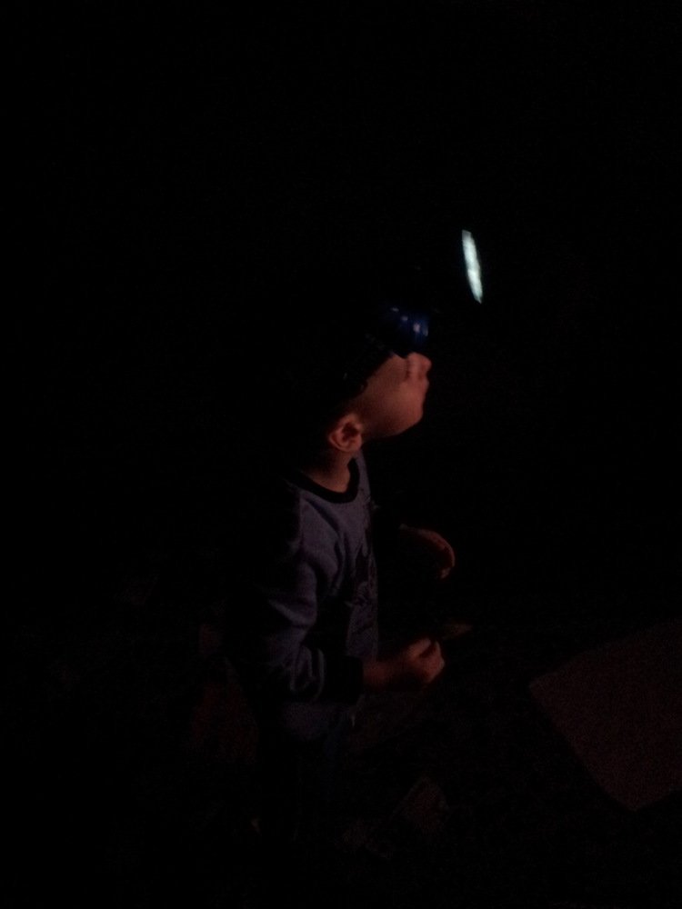 Photo #5065665
