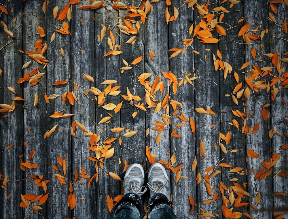 Photograph by Катерина Онацкая