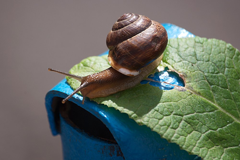 Photograph by Yroslava Veretina