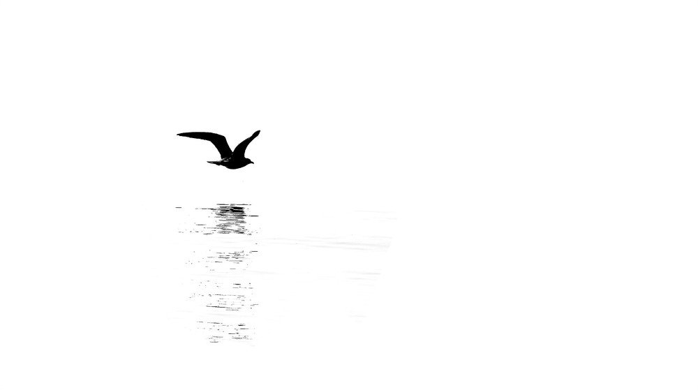 Photograph by Tudor Honceriu