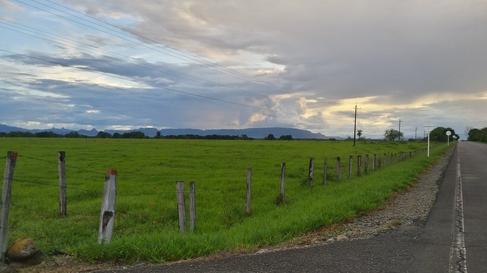 Photo #5065772