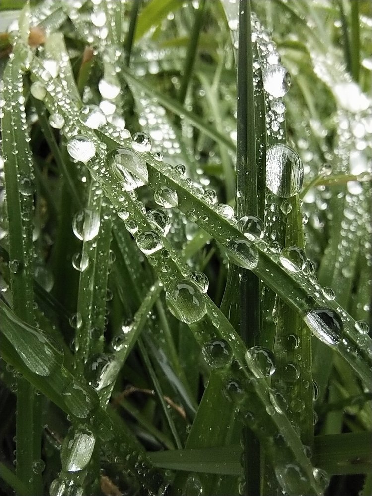 Photograph by Александра Лукашевич