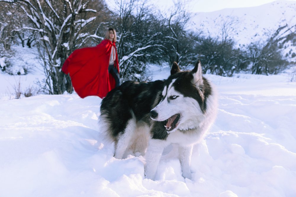 Photograph by Александра Корнеева