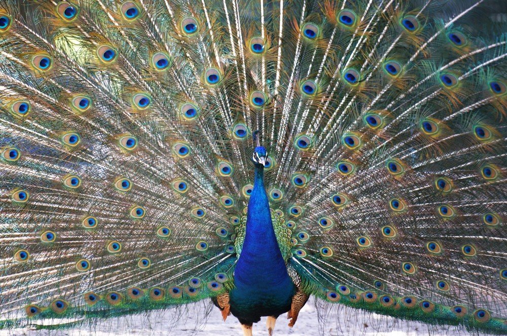 Photograph by Moulay Ahmed KASSI