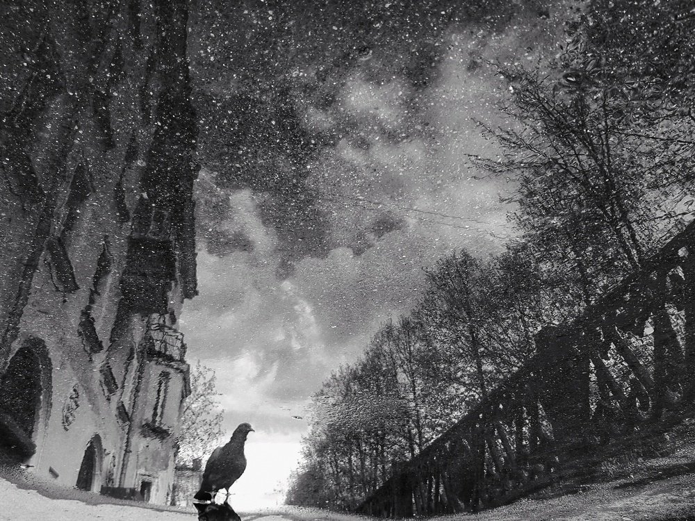 Белые ночи...