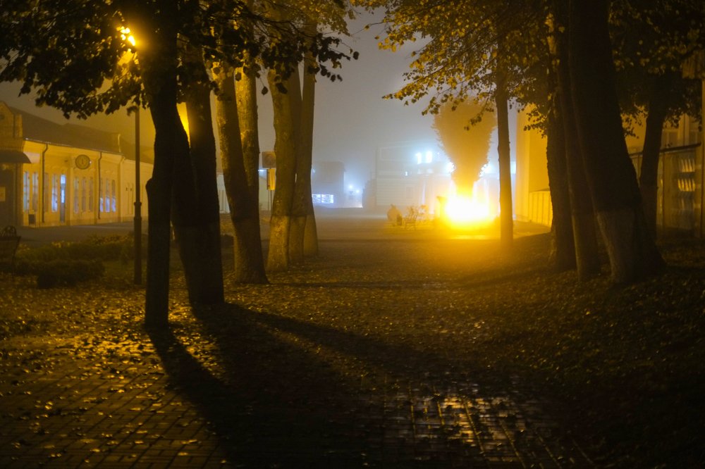 Photograph by Наталья Манусова