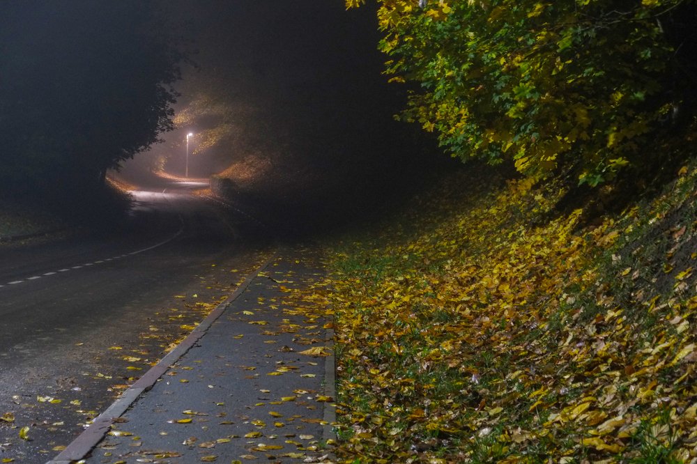 Photograph by Наталья Манусова