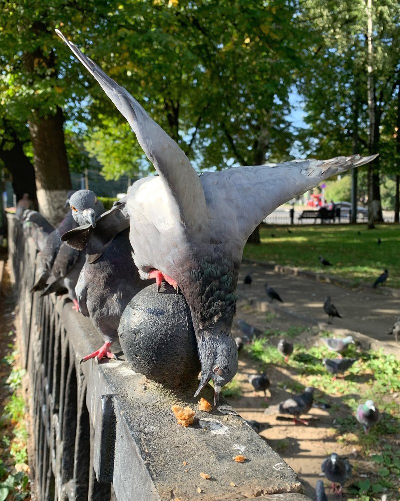 Photograph by Юлия Гусарова