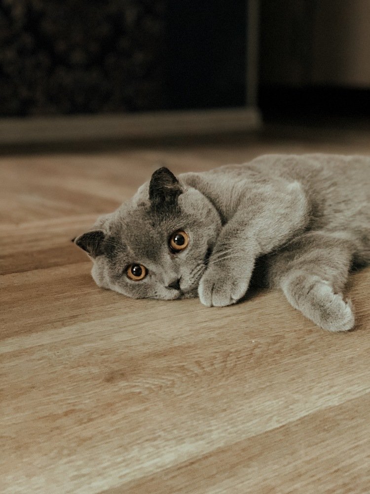 Photograph by Анна Лисяк