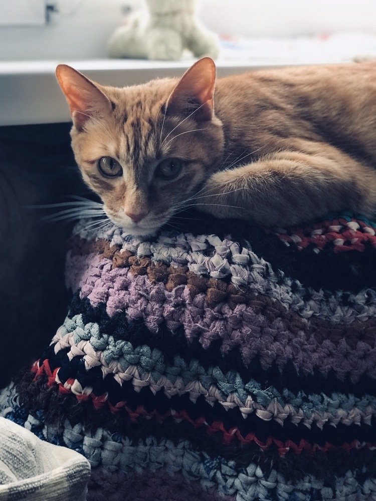 Photograph by Мария Шрейдер