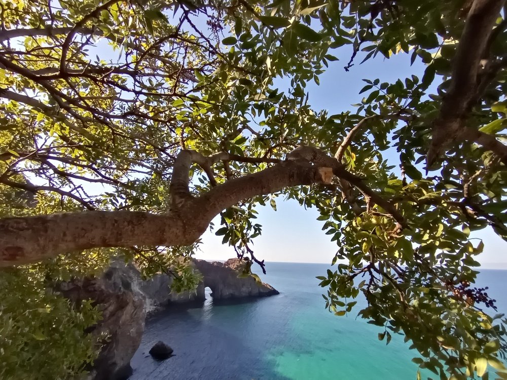 Photograph by Жанна Иванисенко