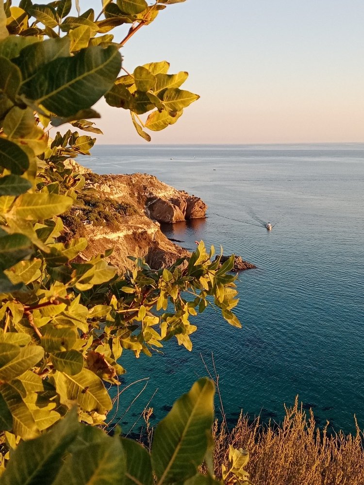 Photograph by Жанна Иванисенко