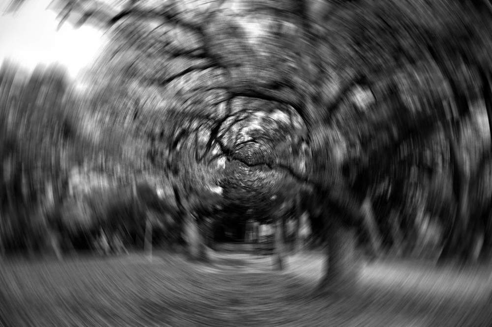 Photograph by Alexandra Potolidou