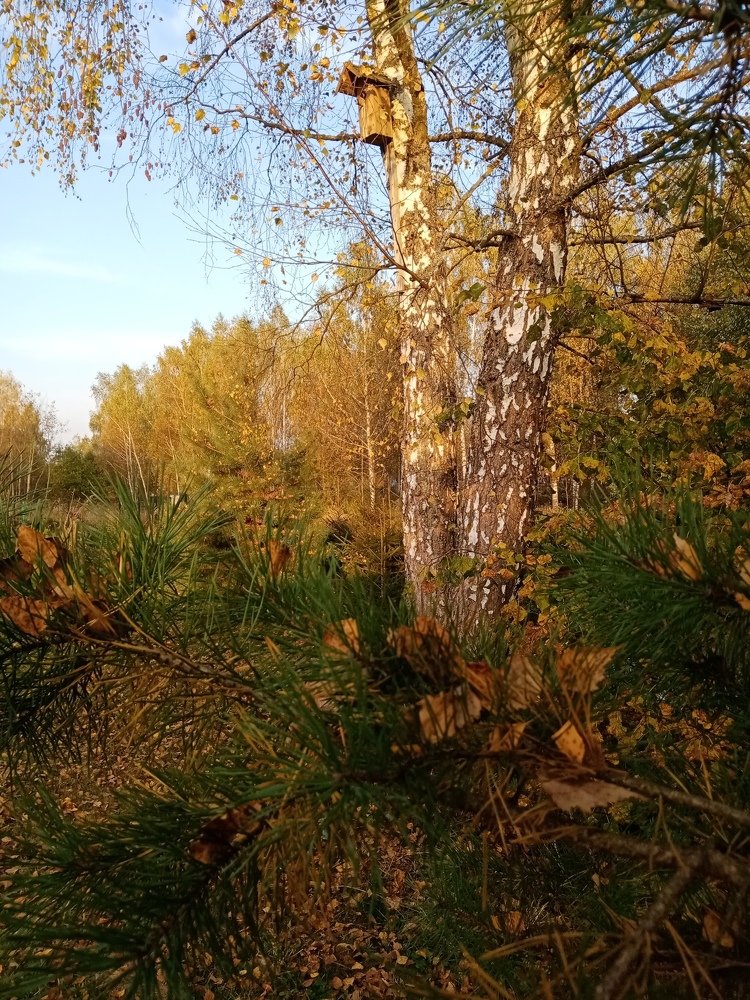 Photograph by Жанна Иванисенко