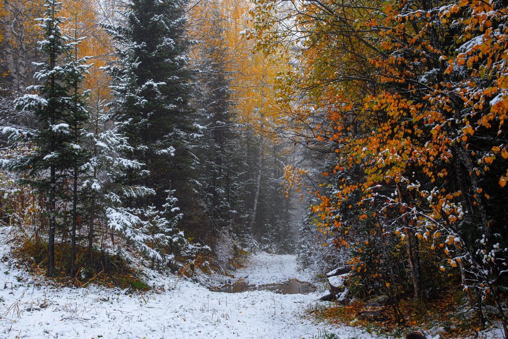 Photograph by Евгений Дроботенко