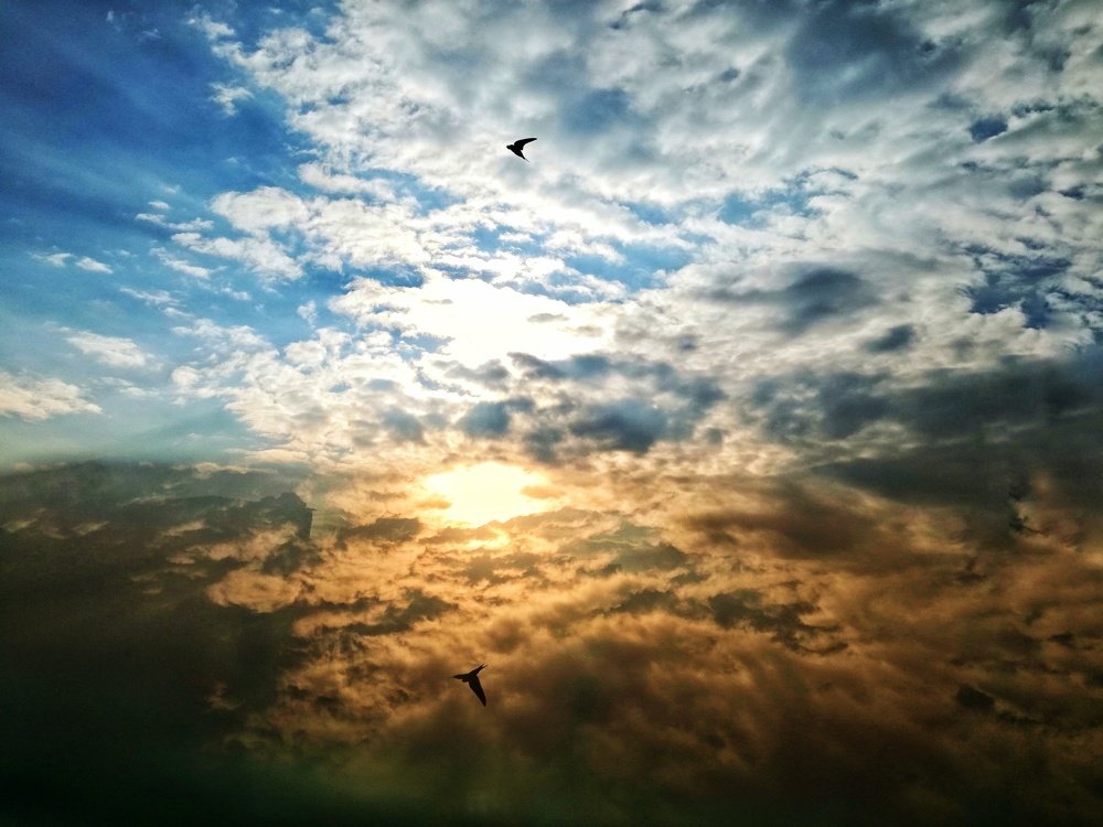 Photograph by David Gómez