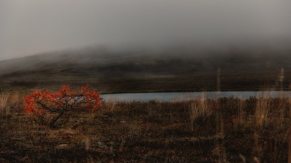 Photograph by Ирина Ульянова