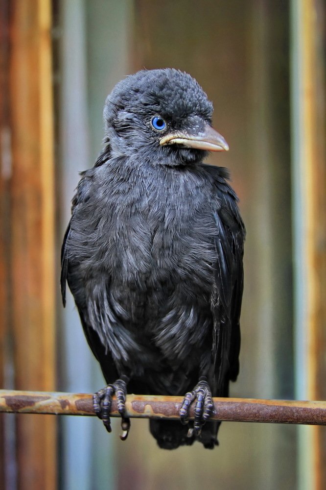 Photograph by Гагик Мхитарян