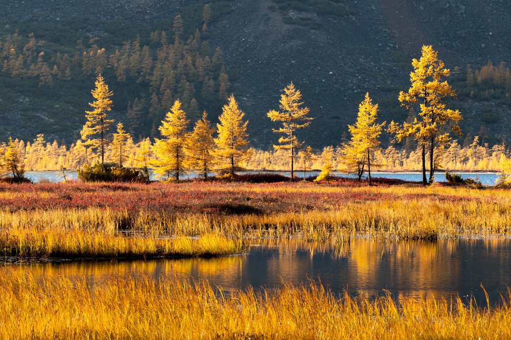 Фотография автора Nadezhda Okorokova