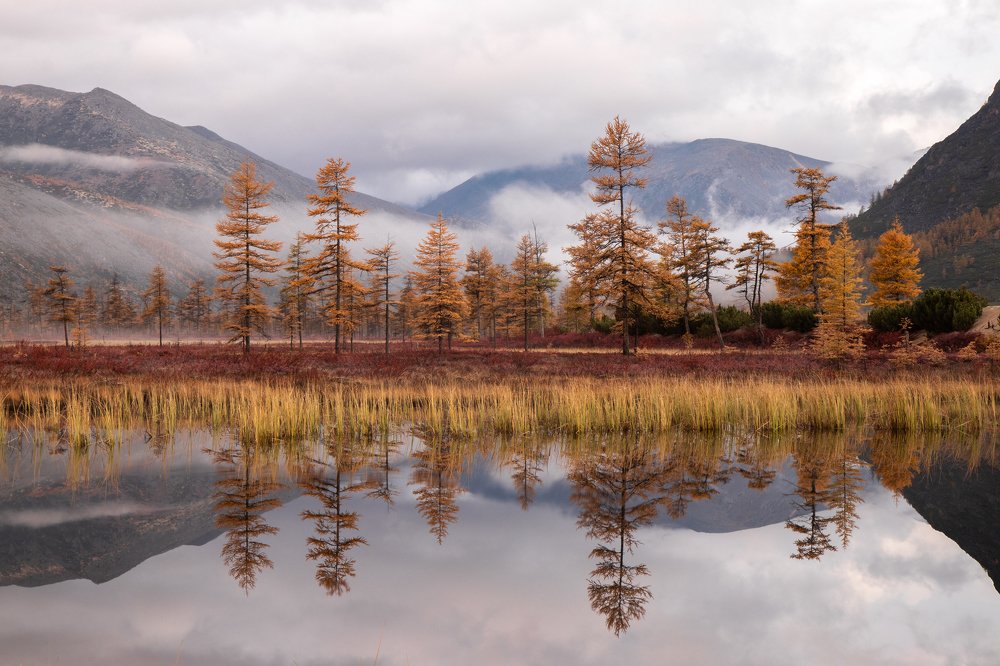 Photograph by Nadezhda Okorokova