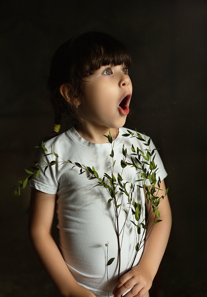 Воооооон какой слон по небу летит