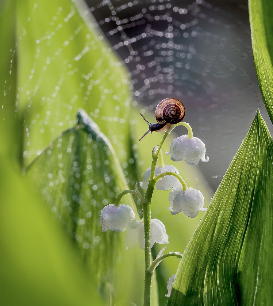 Photograph by Юлия Ершова