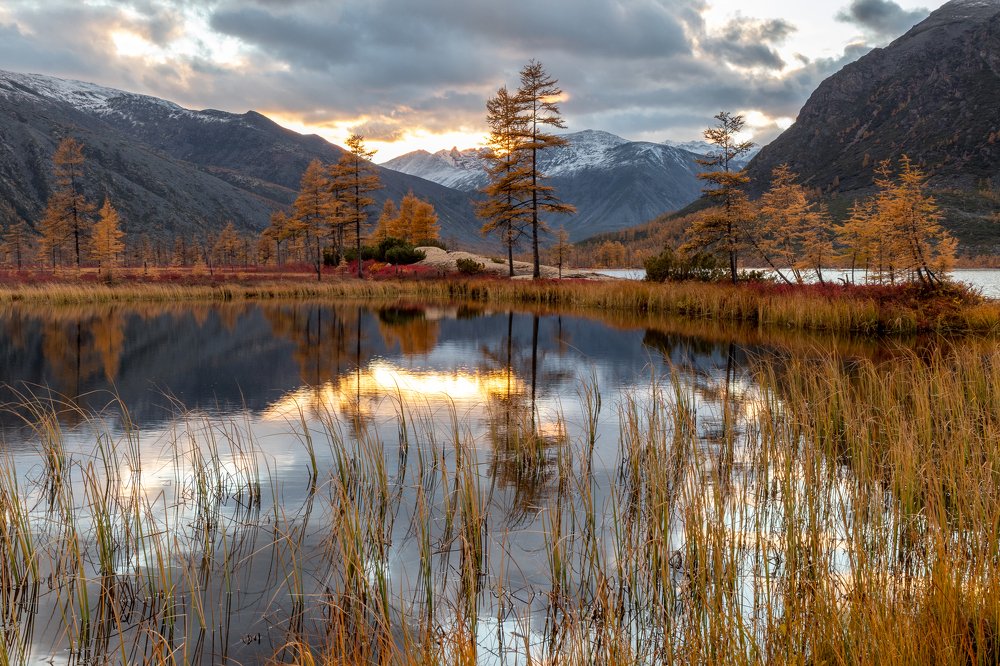 Photograph by Nadezhda Okorokova