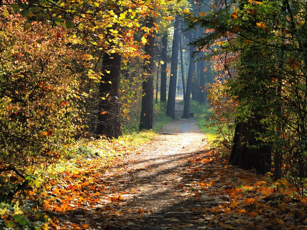 Photograph by Виктор Комиссаров