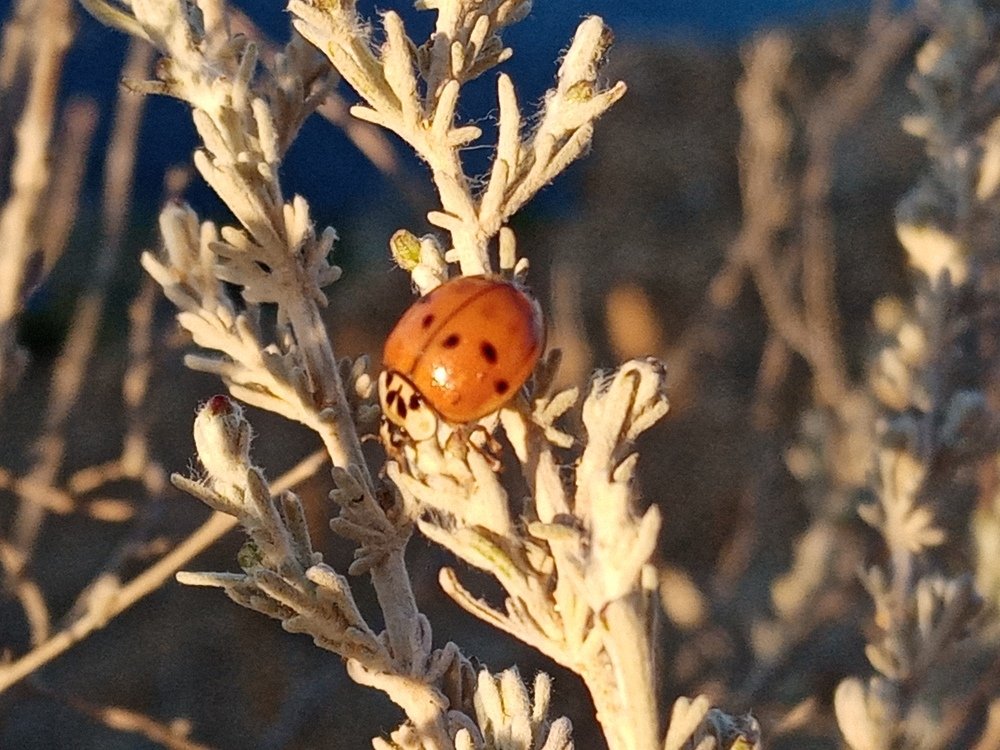 Photograph by Жанна Иванисенко
