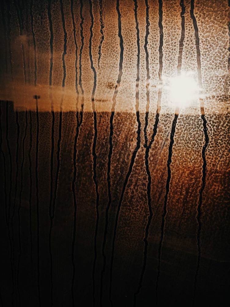 Фотография автора Яна Чхан